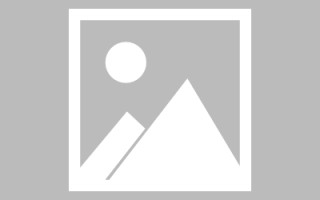 无为关于网站建设免费（关于网站建设免费的通知）